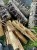image0 (19).jpeg