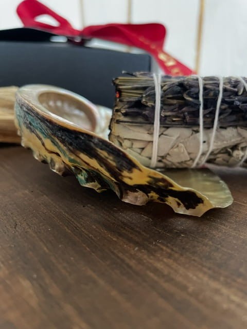 image11 (1).jpeg